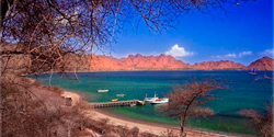 beach in komodo diving