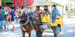 Gili Island Tour - Arrival