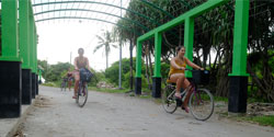 Gili Island Tour - Bicycle