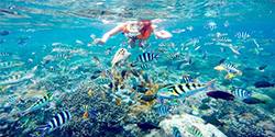 Nusa Lembongan Tour - Snorkeling Trip