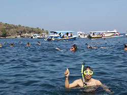 Crystal Bay Snorkeling - Snorkeling Nusa Penida