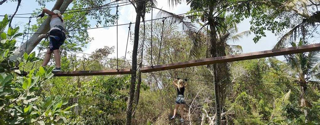 alam treetop bali