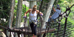 alam treetop bali