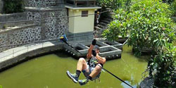 alam treetop bali