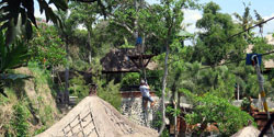 alam treetop bali