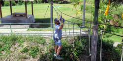 alam treetop bali