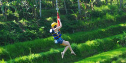 bali zipline - flies