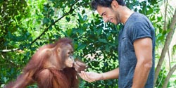 breakfast with orangutan 6