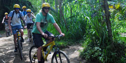 bali cycling ubud - jungle