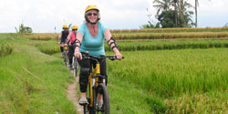 bali cycling ubud - rice paddies