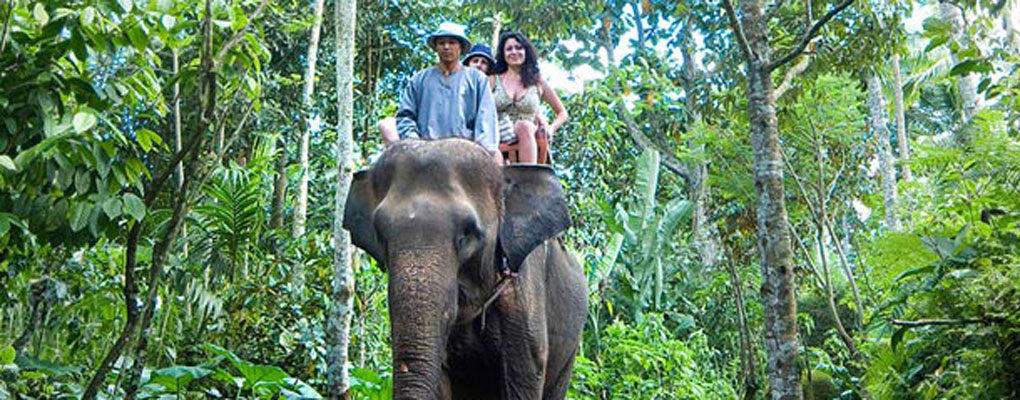 Bali Elephant Ride - Intro