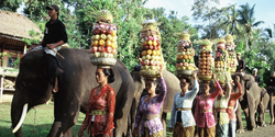 Bali Elephant Ride - Ceremony