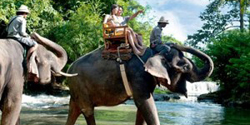 Bali Elephant Ride - River