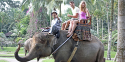 Bali Elephant Ride - Park