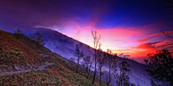 sun rise - ijen trekking