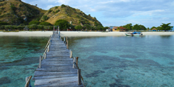 komodo tour - bridge