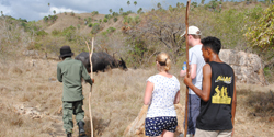 komodo tour - start adventure