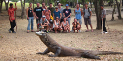 komodo tour - see komodo