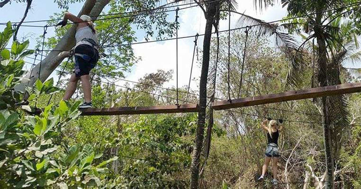 Bali Treetop Amazing Adventures Park