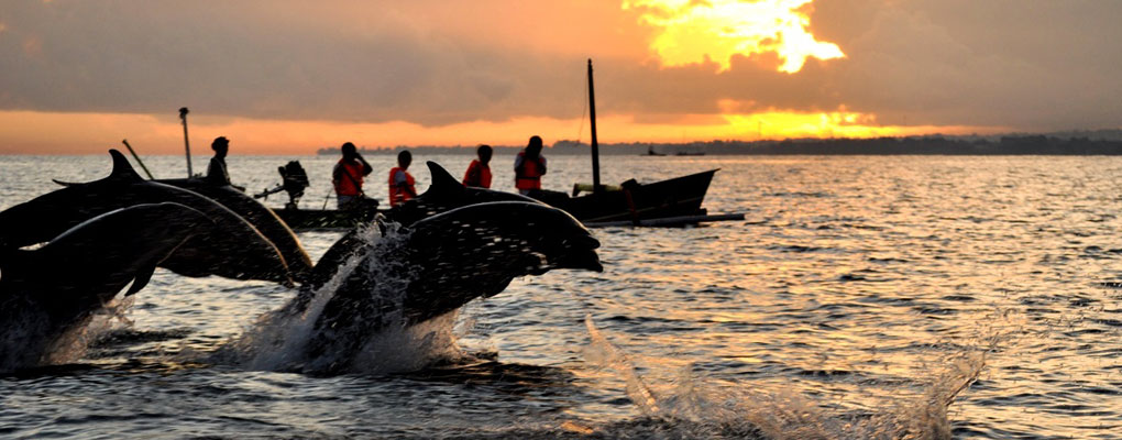 Bali Dolphin Sambangan Trekking