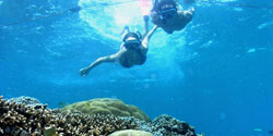 Bali Lovina Snorkeling