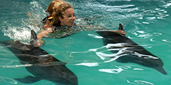 swim with 2 dolphins