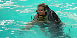 embrace with dolphin