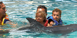 swim dolphin kids