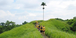 Rice Paddy Trekking -  Campuhan Ridge Walk